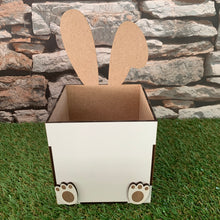 Load image into Gallery viewer, Bunny Box
